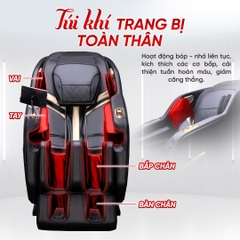 Ghế massage FUIKUZAKI FK-499