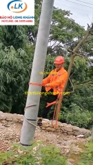 Guốc trèo cột điện 300mm loại 1 đinh Trung Quốc