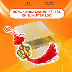 Đồng Xu Hoa Mai Kim Tiền Đặt Két Sắt Chiêu Hút Tài Lộc
