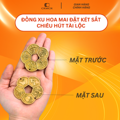 Đồng Xu Hoa Mai Kim Tiền Đặt Két Sắt Chiêu Hút Tài Lộc
