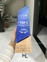 Cúp pha lê cao cấp PL14