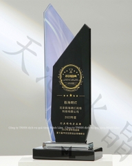 Cúp pha lê cao cấp PL10