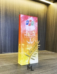 Cúp pha lê cao cấp PL05