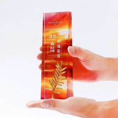 Cúp pha lê cao cấp PL05