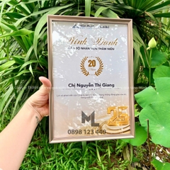 Khung vinh danh chất liệu kim loại nhiều màu sắc