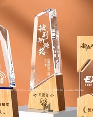 Cúp pha lê cao cấp PL14