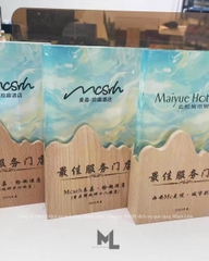 Cúp Pha Lê Cao Cấp Có Hộp Đựng Kích Thước 12x18cm PL16