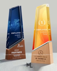 Cúp pha lê cao cấp PL14