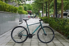 XE ĐẠP Satako Livar