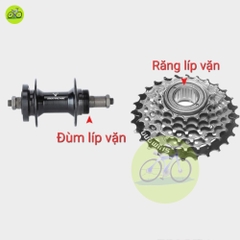 Líp văn xe đạp 6 tầng Shimano 1-24T