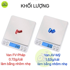 [HCM] Nắp chụp van xe đạp Nhôm Toopre/ Đầu bịt chân Van pháp FV Van Mỹ AV - 2 Nắp