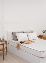 Đệm cứng bông ép tinh khiết mix foam TH3 SH_DF22 003