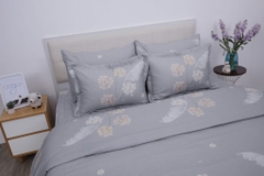 Bộ chăn ga gối cotton SH_BC25 108