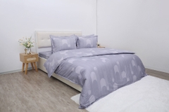 Bộ chăn ga gối cotton SH_BC25 115
