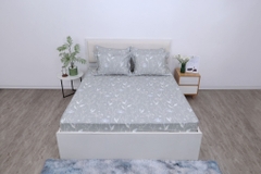 Bộ chăn ga gối cotton SH_BC25 113