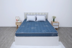 Đệm cứng bông tinh khiết mix foam TH3 SH_DF25 304