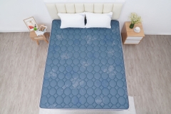 Đệm cứng bông tinh khiết mix foam TH3 SH_DF25 304