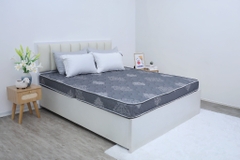 Đệm cứng bông ép tinh khiết mix foam TH3 SH_DF25 303