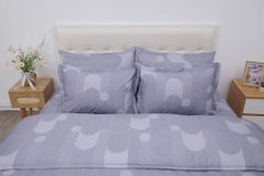 Bộ chăn ga gối cotton SH_BC25 115