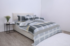 Bộ chăn ga gối cotton SH_BC25 110