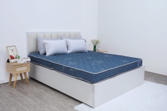 Đệm cứng bông tinh khiết mix foam TH3 SH_DF25 304