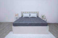 Đệm cứng bông ép tinh khiết mix foam TH3 SH_DF25 302