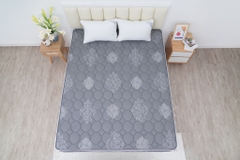 Đệm cứng bông ép tinh khiết mix foam TH3 SH_DF25 303