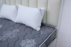 Đệm cứng bông ép tinh khiết mix foam TH3 SH_DF25 303