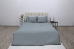 Bộ chăn ga gối cotton SH_BC25 119