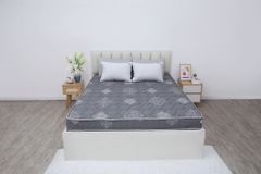 Đệm cứng bông ép tinh khiết mix foam TH3 SH_DF25 303