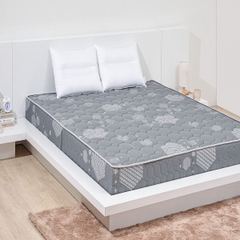 Đệm cứng bông ép tinh khiết mix foam TH3 SH_DF23 005