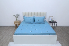 Bộ chăn ga gối cotton SH_BC25 117