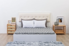 Đệm cứng bông ép tinh khiết SH_DG23 011