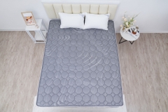 Đệm cứng bông ép tinh khiết mix foam SH_DF25 302