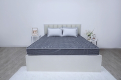 Đệm cứng bông ép tinh khiết mix foam SH_DF25 302