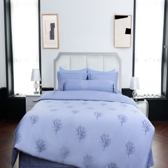 Bộ chăn ga gối SH_UC24 104