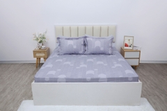 Bộ chăn ga gối cotton SH_BC25 115