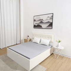 Đệm cứng bông ép tinh khiết SH_DG24 101