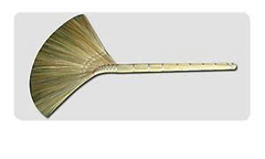 Chổi bông cỏ thường