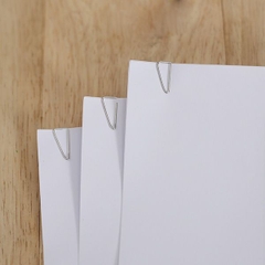 Ghim giấy Thiên Long FO PAC01