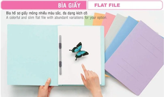 Bìa Accord giấy Plus A4