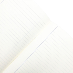 Tập kẻ ngang/ ô ly Hòa Bình, 17x25 cm