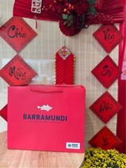 Túi + xốp BARRAMUNDI size M