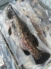 Cá Vược The Better Fish® Nguyên Con Đông Lạnh