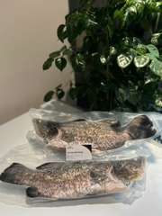Cá Vược The Better Fish® Nguyên Con Đông Lạnh