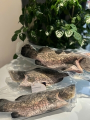 Cá Vược The Better Fish® Nguyên Con Đông Lạnh