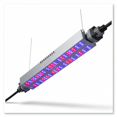 Đèn LED Nhà Kính ZALAA - Giải Pháp Bù Sáng Nông Nghiệp Cao