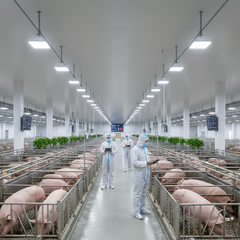 Đèn LED Chăn Nuôi ZALAA Chuyên Dụng Tăng Năng Suất Vật Nuôi