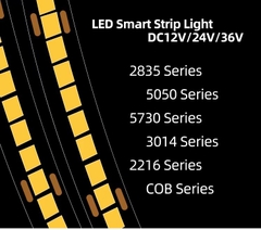 Đèn LED Dây Snake 20W Strip LMBLT-31 IP67 Bản 10mm Chạy USB/DC - ZALAA OEM/ODM Flexible LED Strip Light