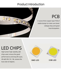 Đèn LED Dây Smd 2835 LMBLT-51 11W 24V IP20 Chạy Đuổi RGBIC Thông Minh - ZALAA OEM/ODM Addressable LED Strip Light